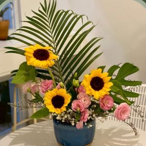 SunFlower